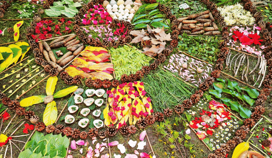 Œuvre collective nature